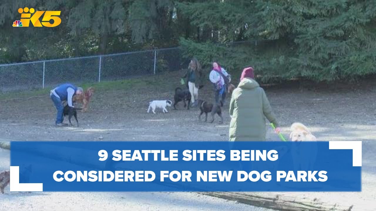 These 9 Seattle sites are being considered for 2 new dog parks