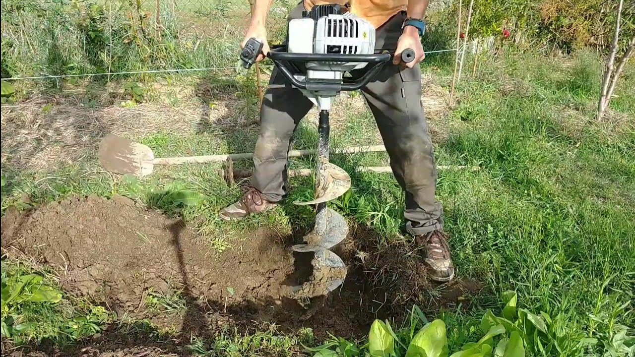 Piantumazione Alberi Forestali: dalla buca al nido!!
