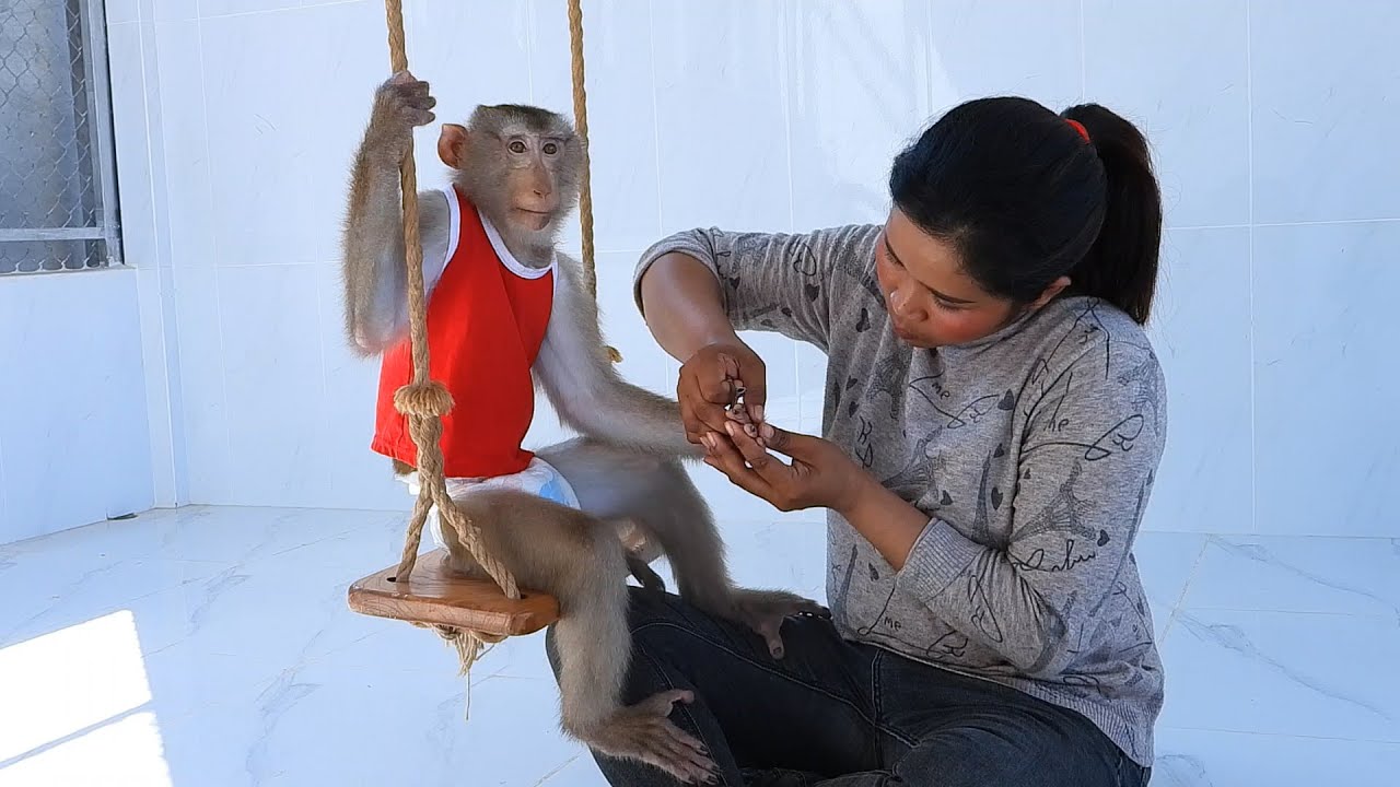Smart Little Kako Sitting On Swing Clean His Nails