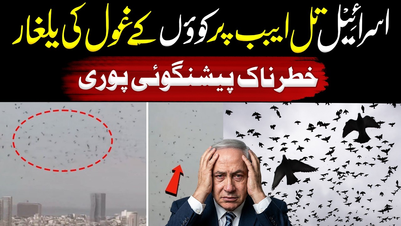 Why Thousands of Crows Attacked Tel Aviv? Real Story | Inomation