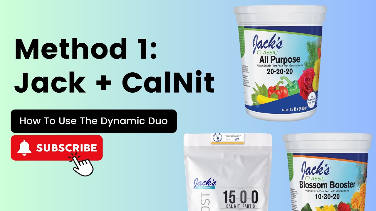 How To Use Jack's Dynamic Duo