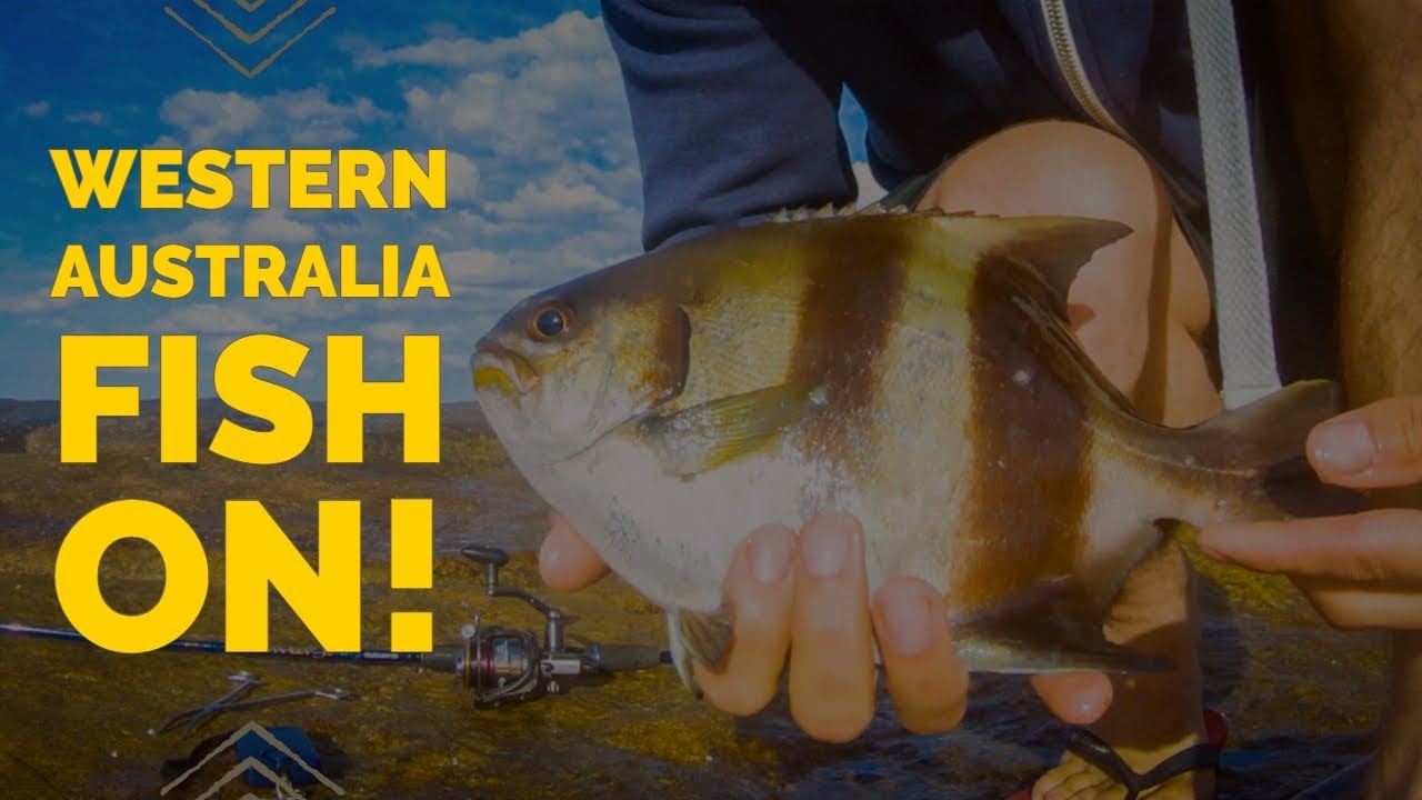 Tour around Australia: Episode 3 - Quagi Beach