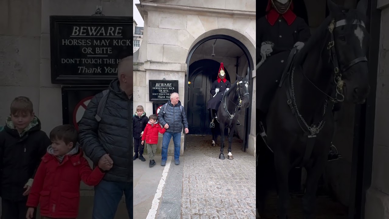 London Horse Guards!&rdquo; #ShortsFeed