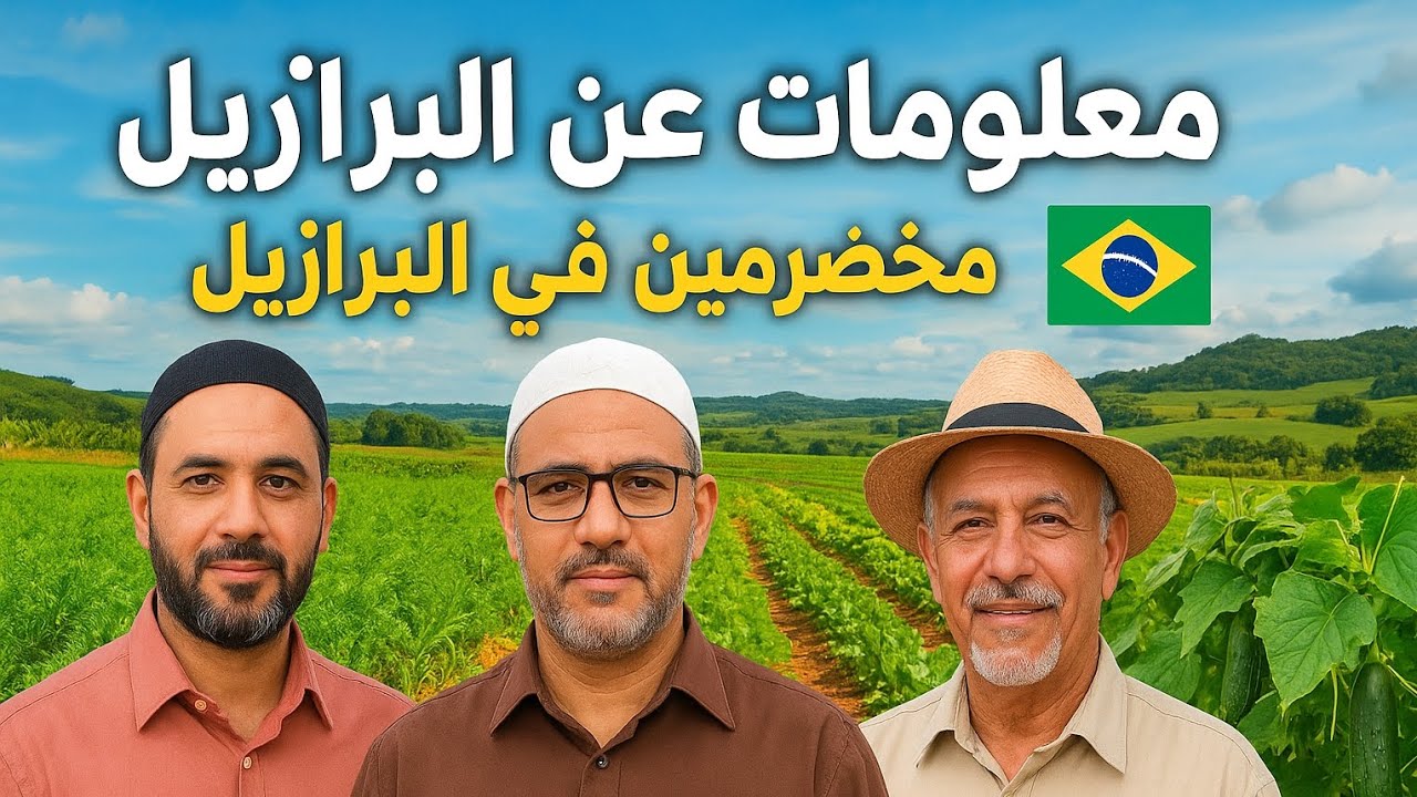 معلومات عن البرازيل 🇧🇷 مع اربعه مخضرمين فى البرازيل 
