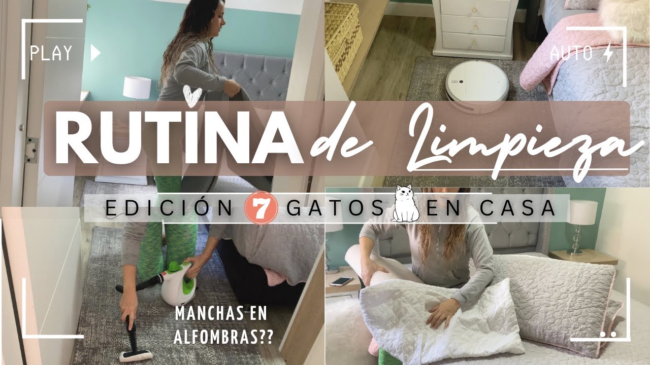 HOGAR LIMPIO con MASCOTAS🐾 ?   | CLARO! que es POSIBLE👌 Mis Trucos de LIMPIEZA 🔝que HOY DEBES Saber