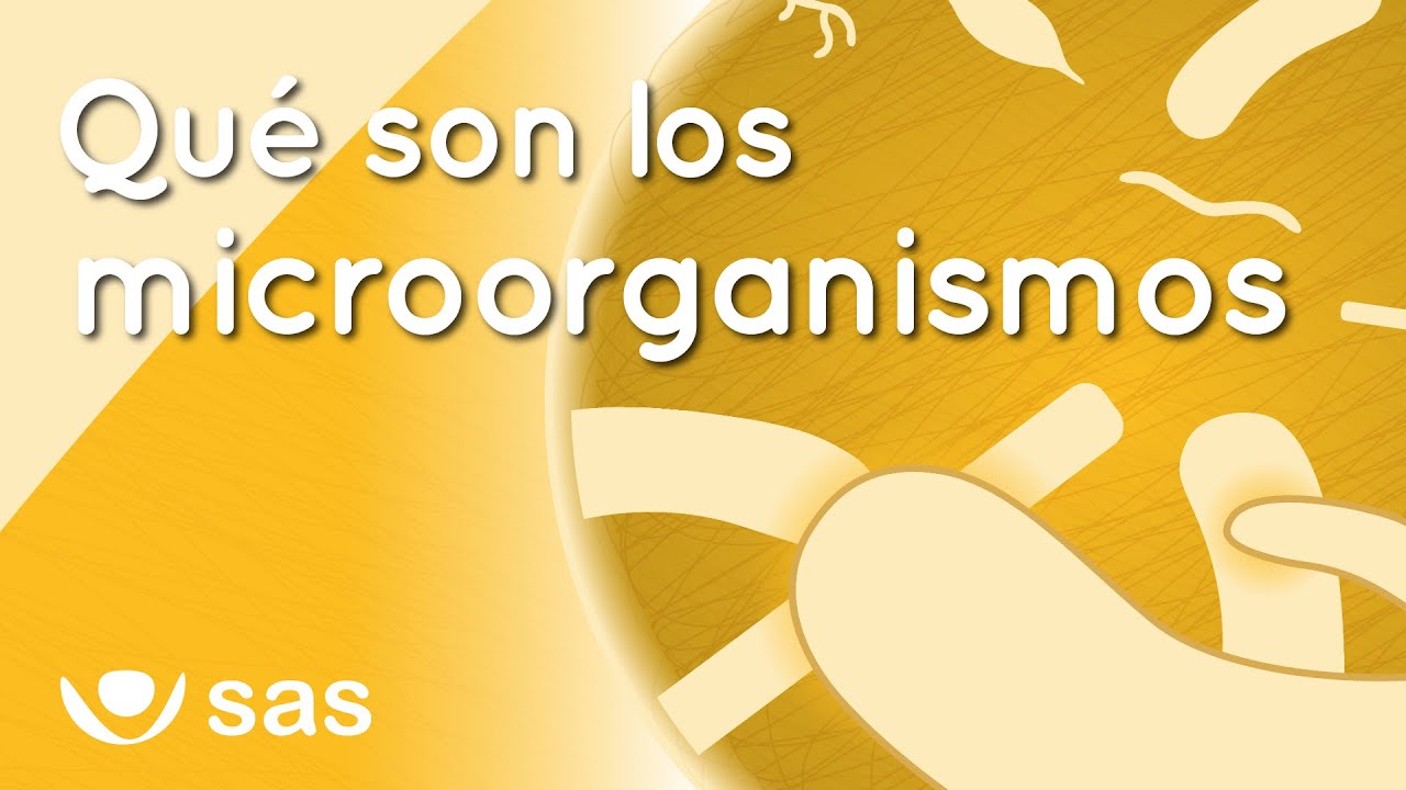 ¿Qué son los microorganismos y qué beneficios aportan a la agricultura?