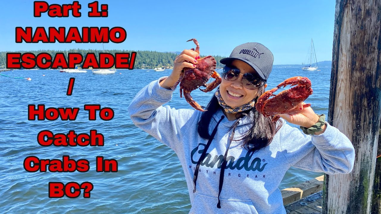 PART 1// NANAIMO ESCAPADE//How To Catch Crabs in BC?