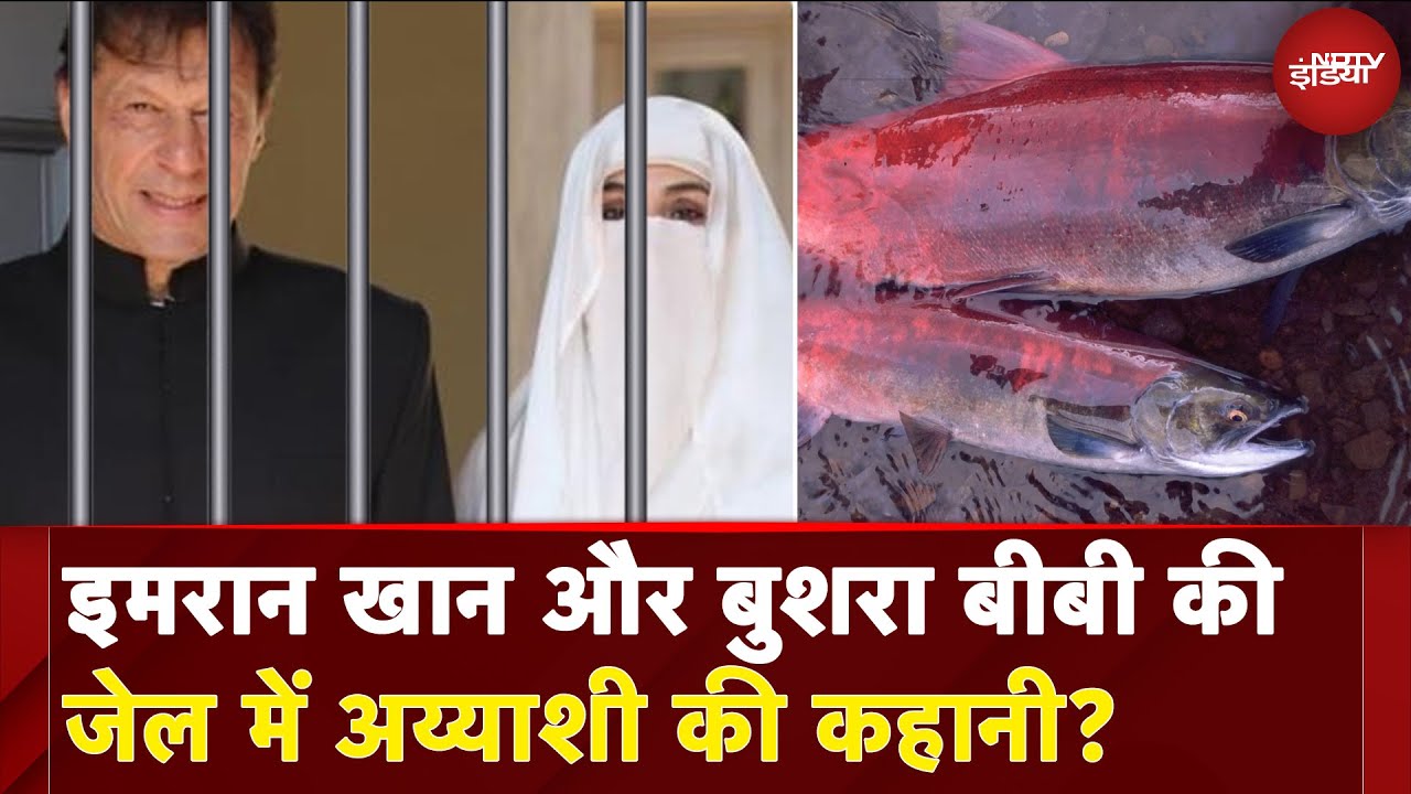 Imran Khan Jail Lifestyle | जेल में इमरान खान के शाही ठाठ: 7 लाख का खर्च | Pakistan | Bushra Bibi
