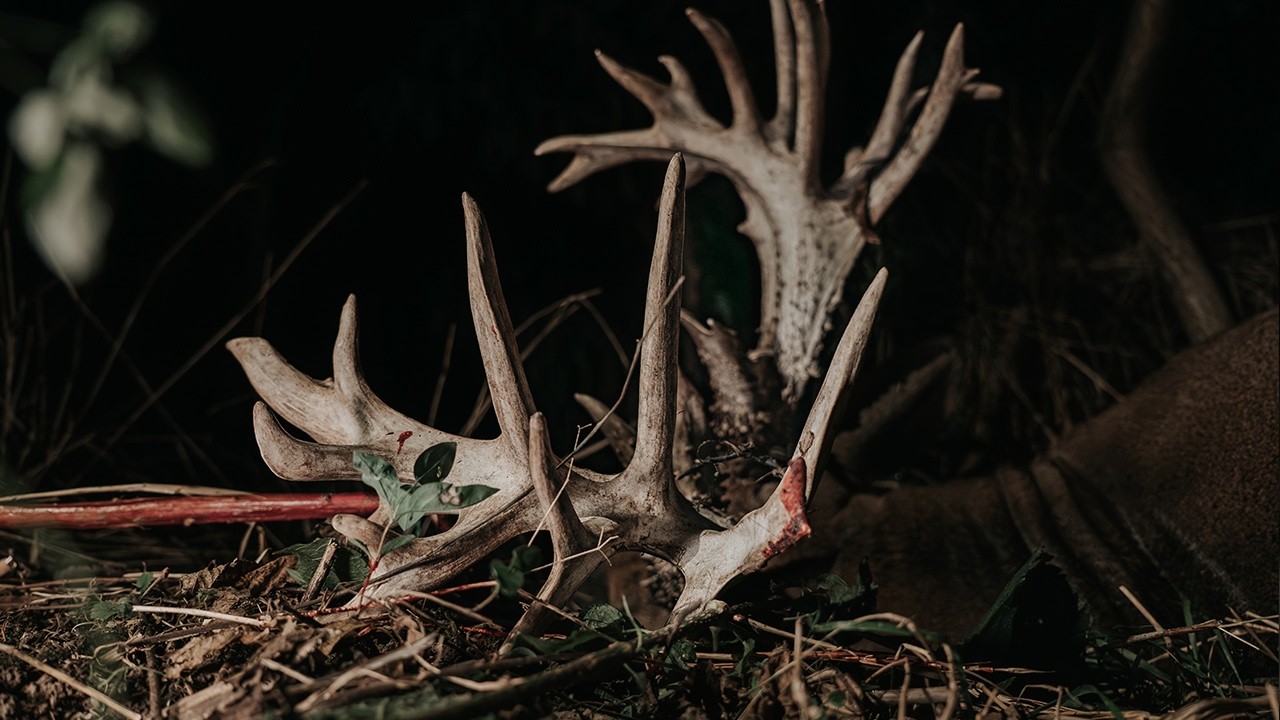 FREAK SHOW - The Largest Buck I&rsquo;ve Ever Encountered | Mark V. Peterson Hunting