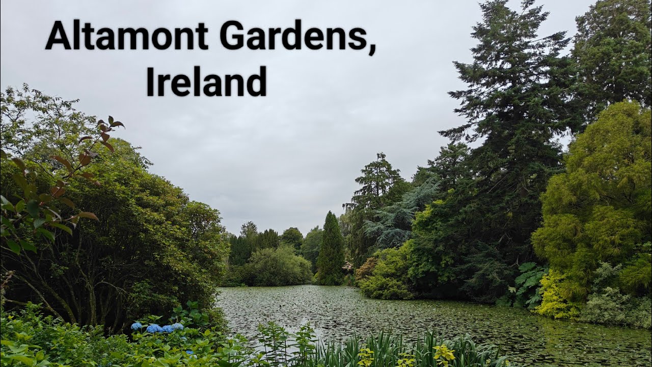 A Sunday morning walk around the beautiful Altamont Gardens Carlow, Ireland 🇮🇪 21/Jul/2024
