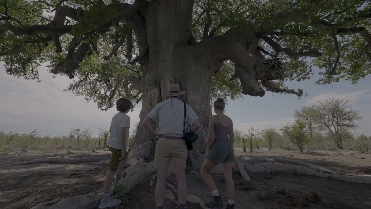 Private mobile safaris: Kalahari desert, Northern Botswana. Roger Dugmore Safaris.