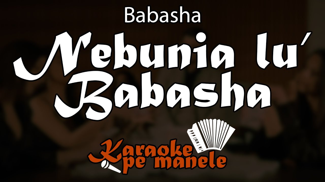 Nebunia lu' Babasha 🤪 KARAOKE (Babasha)