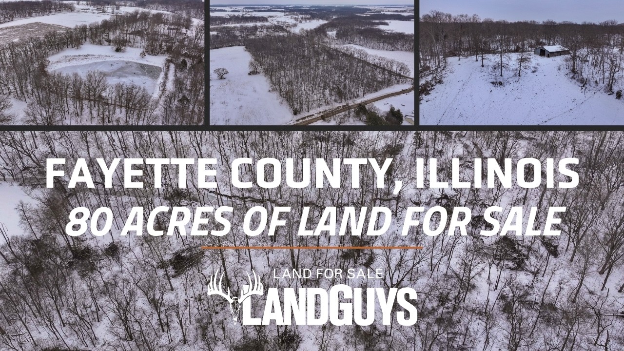 80 Acres Fayette County IL | Build Site, 1 Acre Pond & Hunting Land