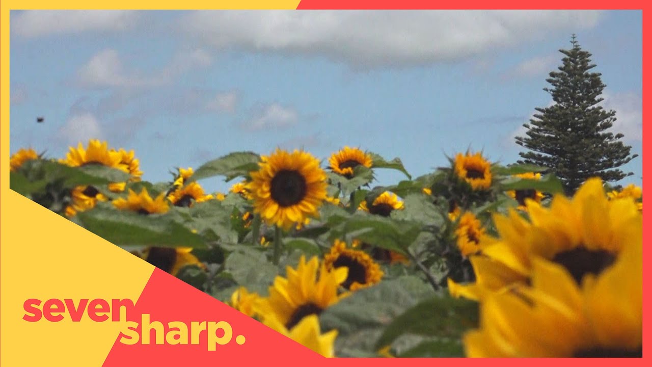 The farming family with a good thing growing…so good, they just had to share It!