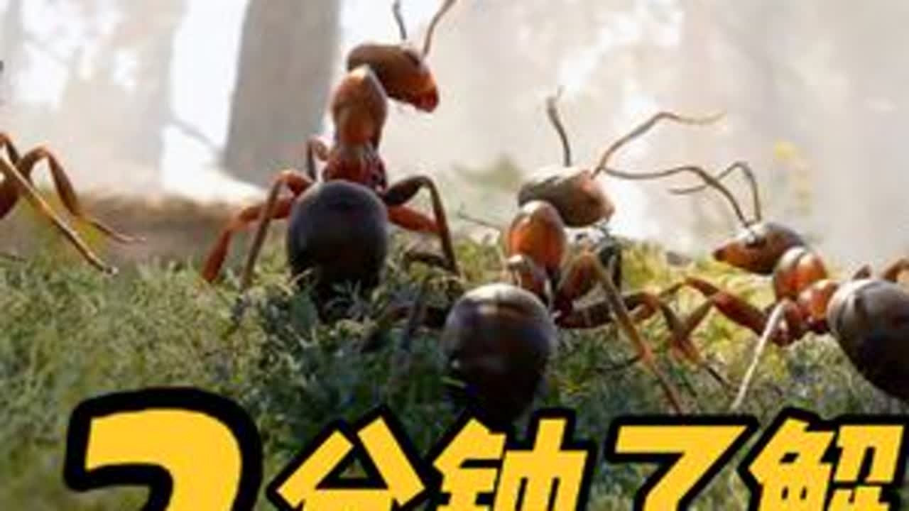 2分钟带你了解《蚂蚁帝国》 游戏：蚂蚁帝国，平台：Steam#主机游戏 #单机游戏 #蚂蚁帝国 #新游鉴赏家 #steam