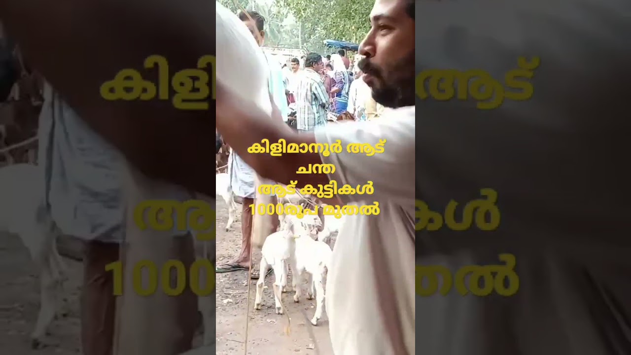 കിളിമാനൂർ ആട്ചന്ത തിരുവനന്തപുരം ജില്ലാ 