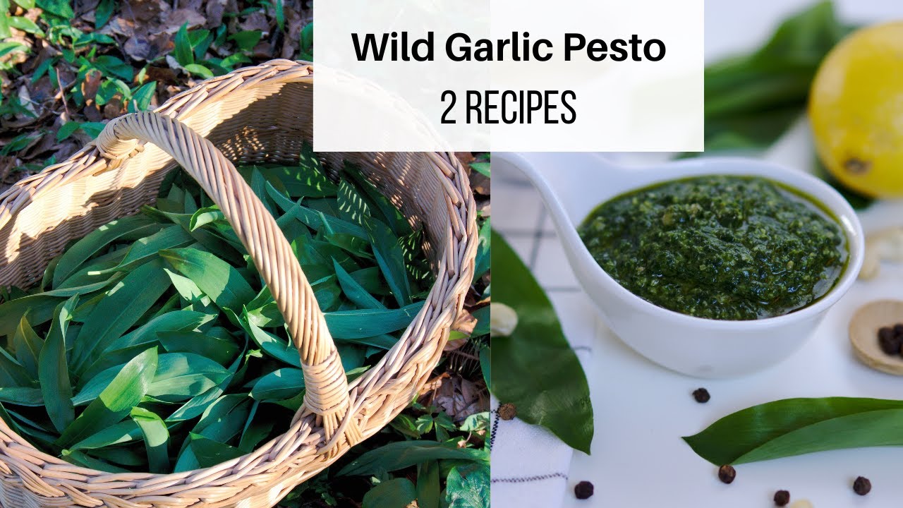 Wild Garlic Vegan Pesto - 2 Recipes | Foraging and Prepping Wild Edibles |