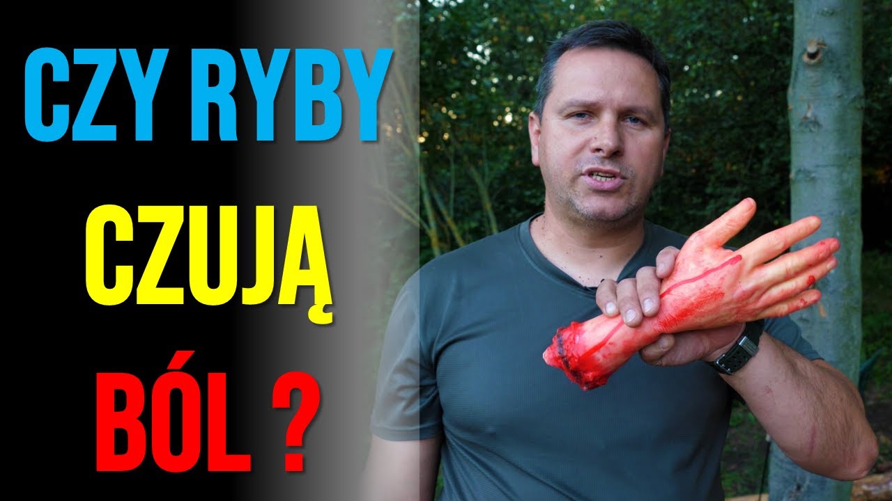 Czy ryby czują ból? Trwa ostry spór naukowców!