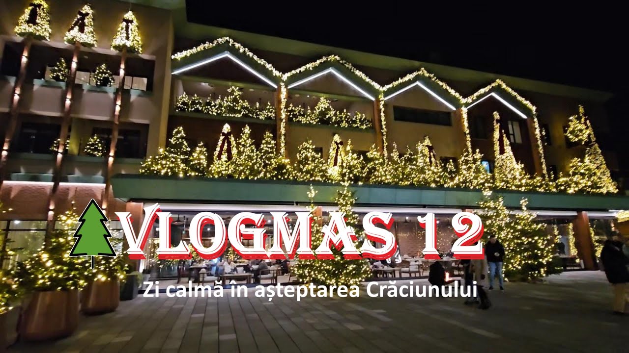 Vlogmas 12/ Zi calma in asteptarea Craciunului