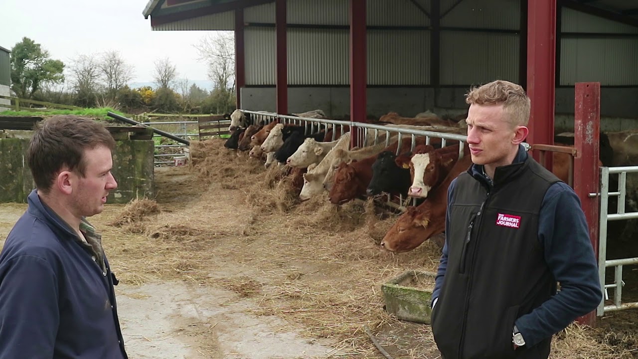 BETTER Farm: April update from Michael McDonald in Kilkenny