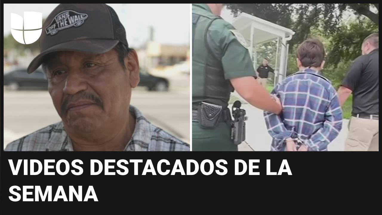 Latino salva a un vendedor y arrestan a niño que amenazó con tiroteo: videos destacados de la semana