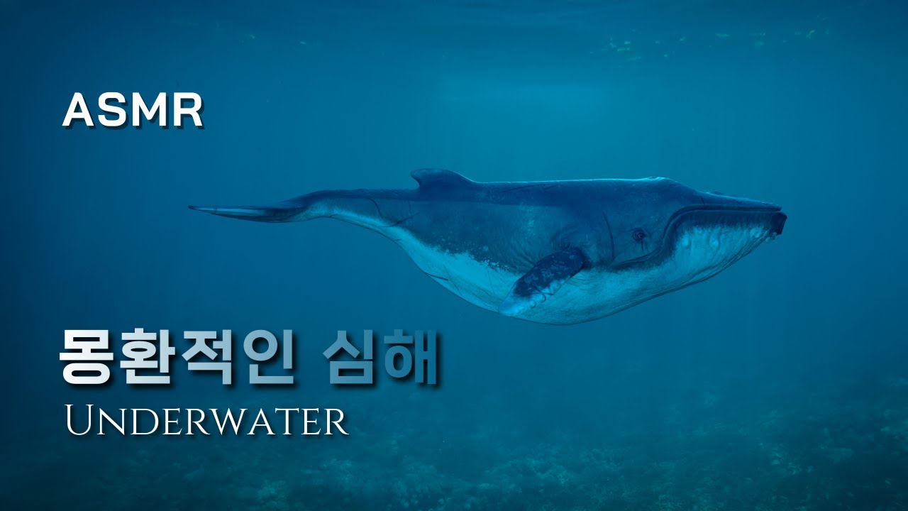 몽환적인 심해 속 고래 소리 들으며 잠들기 🐋 몽환적인 심해 ASMR