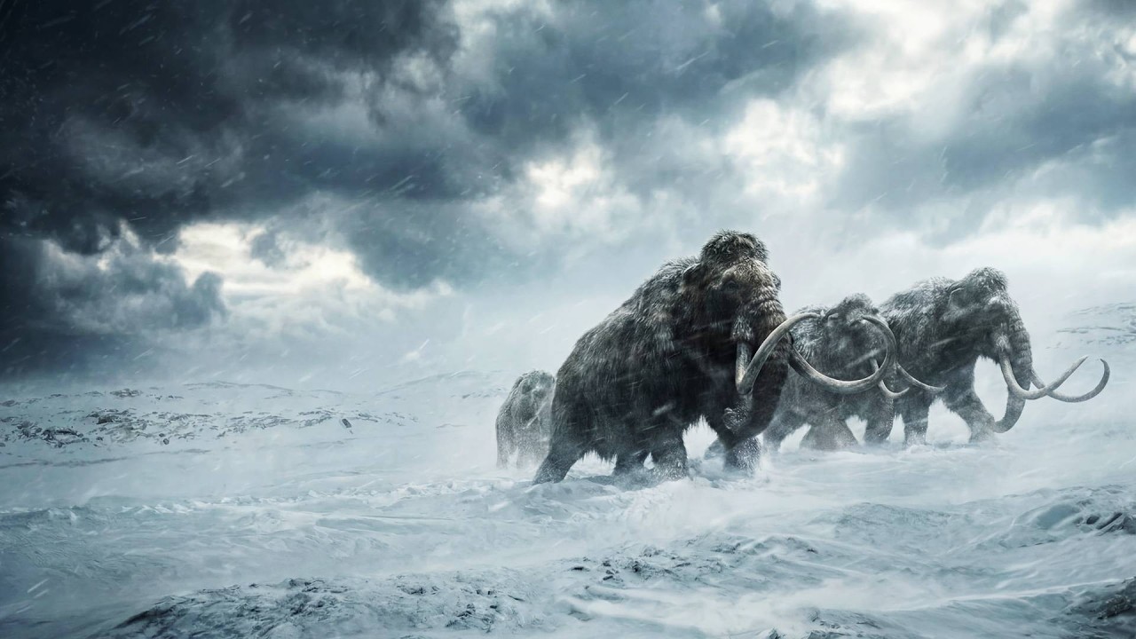 Te Mamuty Przeżyły Swoją Zagładę na Tej Wyspie!