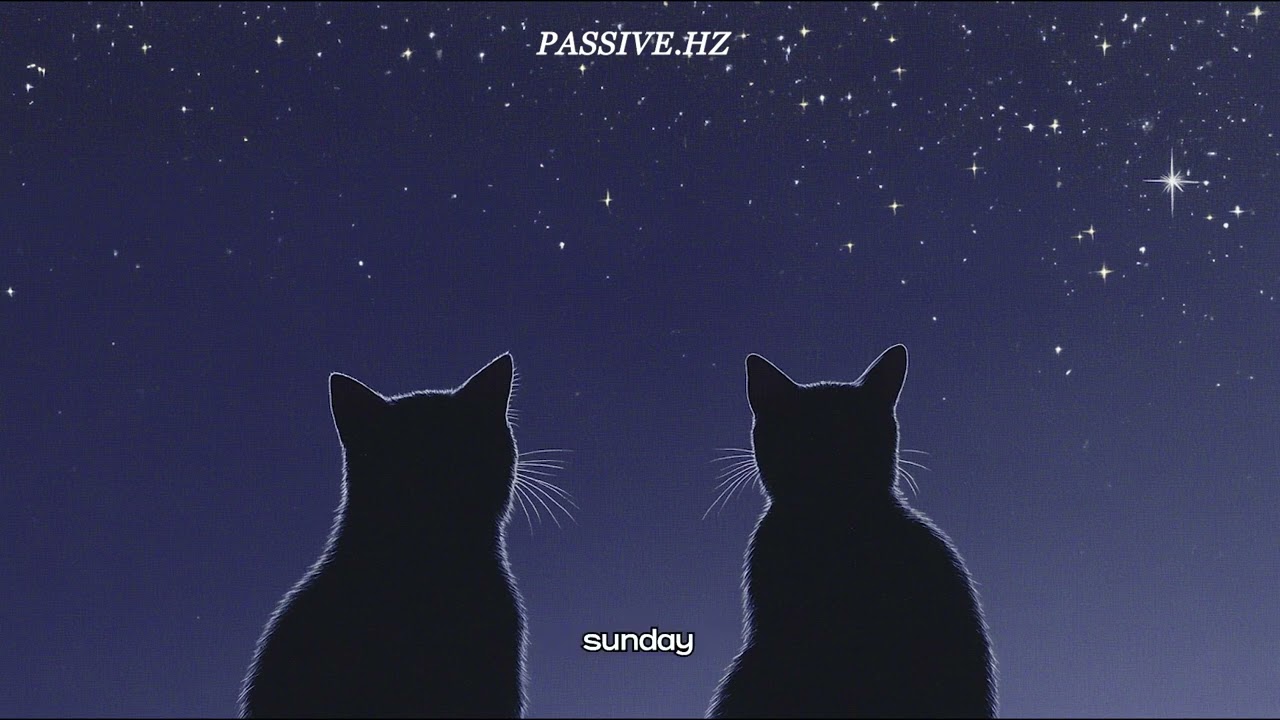 [Playlist] 오늘은 기분 좋은 바람과 함께 밤 산책 J-pop 느낌으로