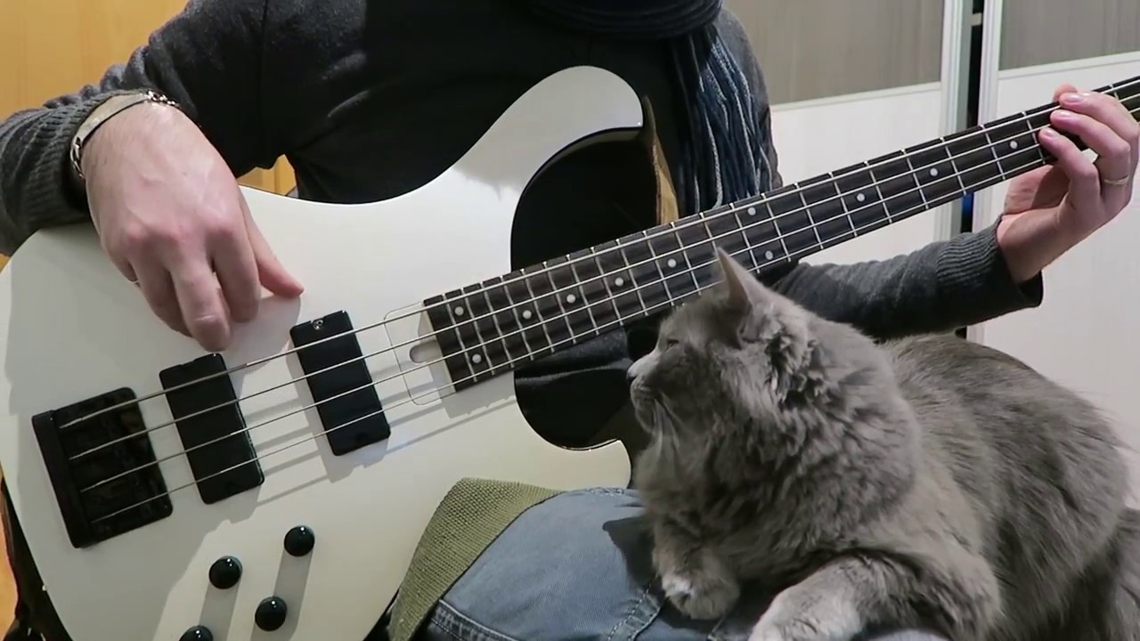 Deftones - Kimdracula (Bass cover HD)