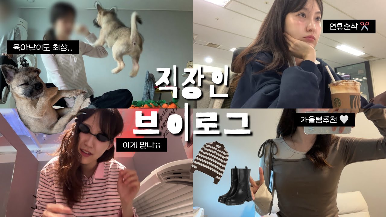 나름 관리 열심히하는 직장인 브이로그 (독박 강아지 육아, 연휴 알차게 보내기, 가을 옷 하울, 인모드+소개팅 주사, 화이트태닝)