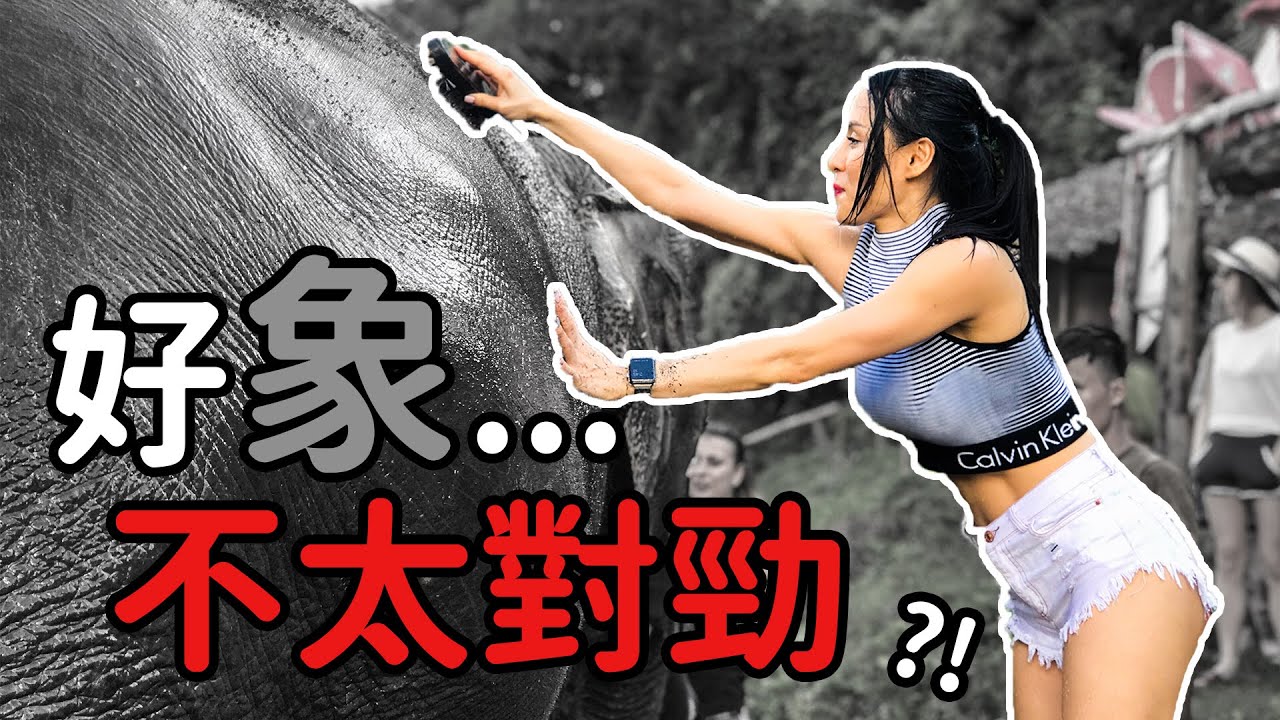 好象🐘不太對勁｜清邁Vlog#2