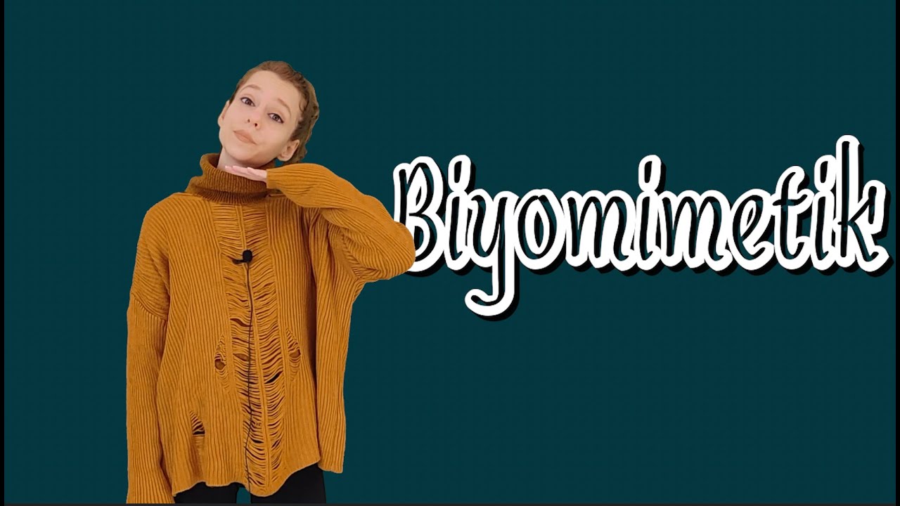 Biyomimetik Nedir?
