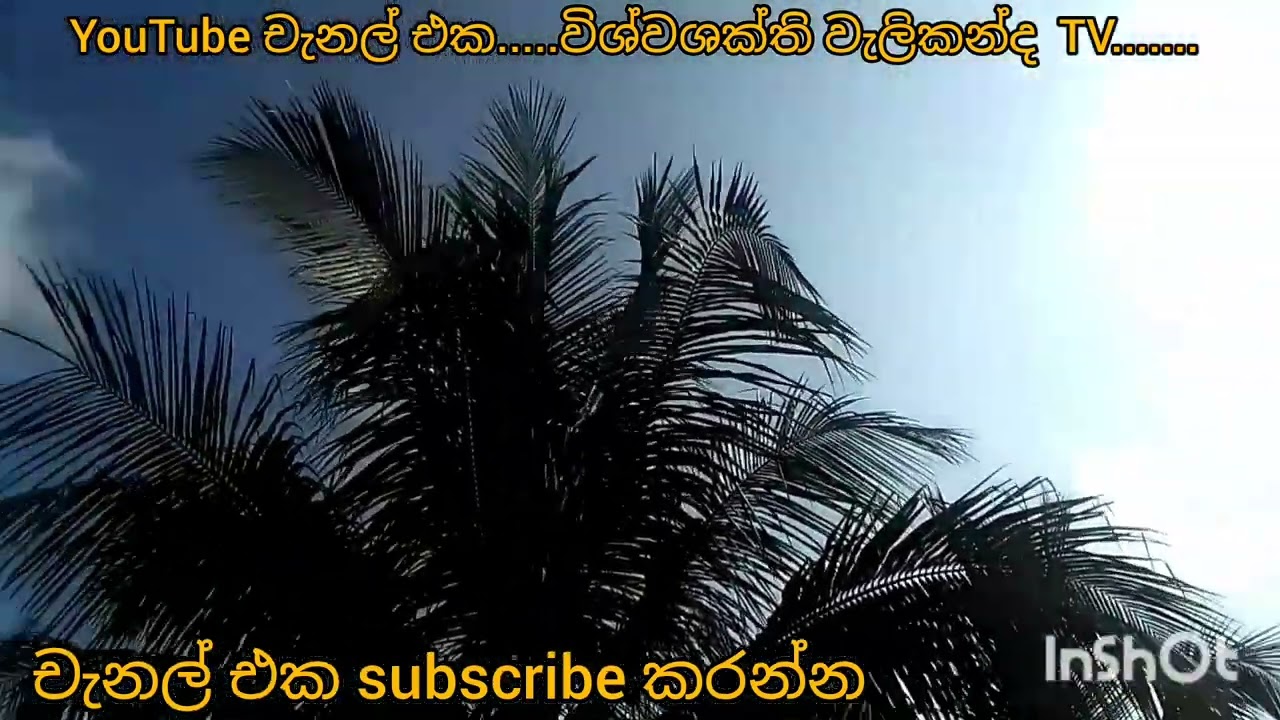 වීඩියෝව තුළ මුලින් වැරදුන වචනයට මාගේ කනගාටුව