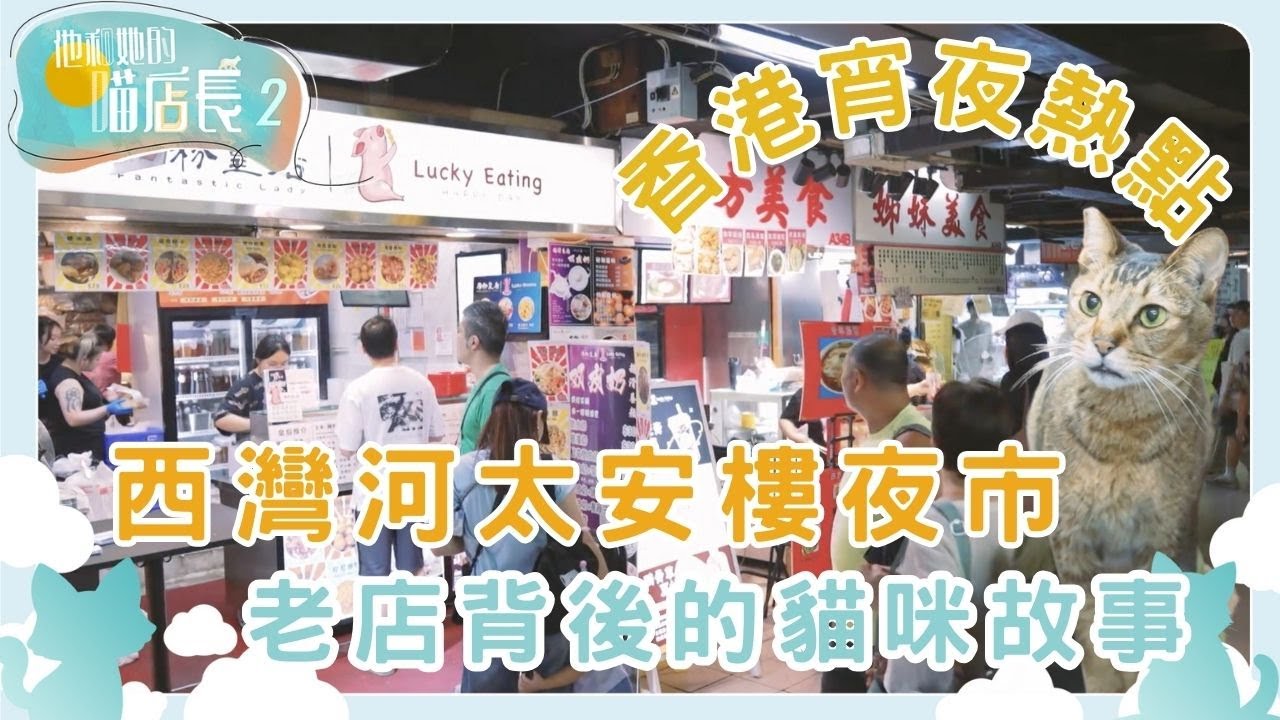 西灣河情誼結 太安樓夜市 小店的溫情｜他和她的喵店長 2｜炎明熹｜貓｜TVB | Gigi