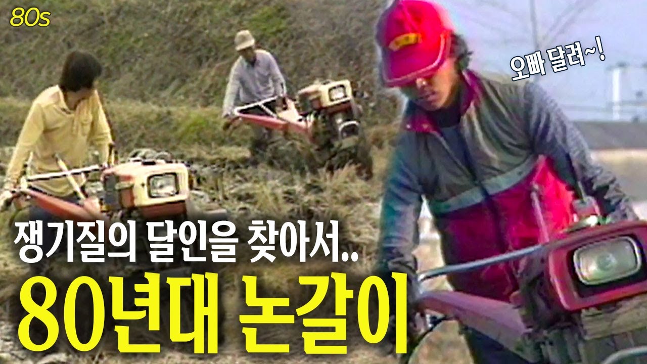 쟁기질의 달인을 찾아서... 80년대 논갈이 영상 🌱  | 고전영상 옛날영상