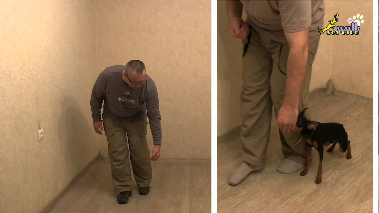 Команда рядом, индивидуальный подход, стартовое упражнение