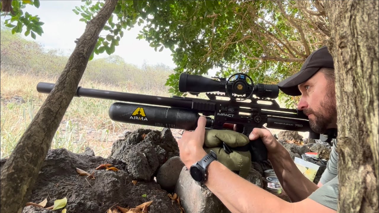 New FX Impact M4 Sniper - Real World Unboxing