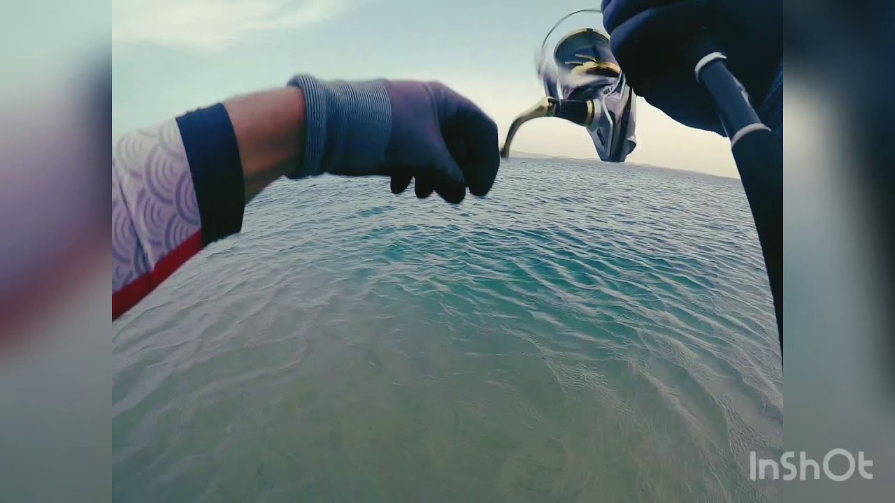 Qatar Inland sea fishing king fish on jig