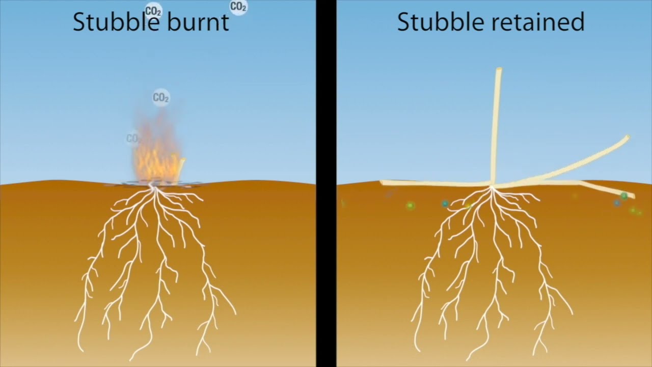 Burning versus stubble retention