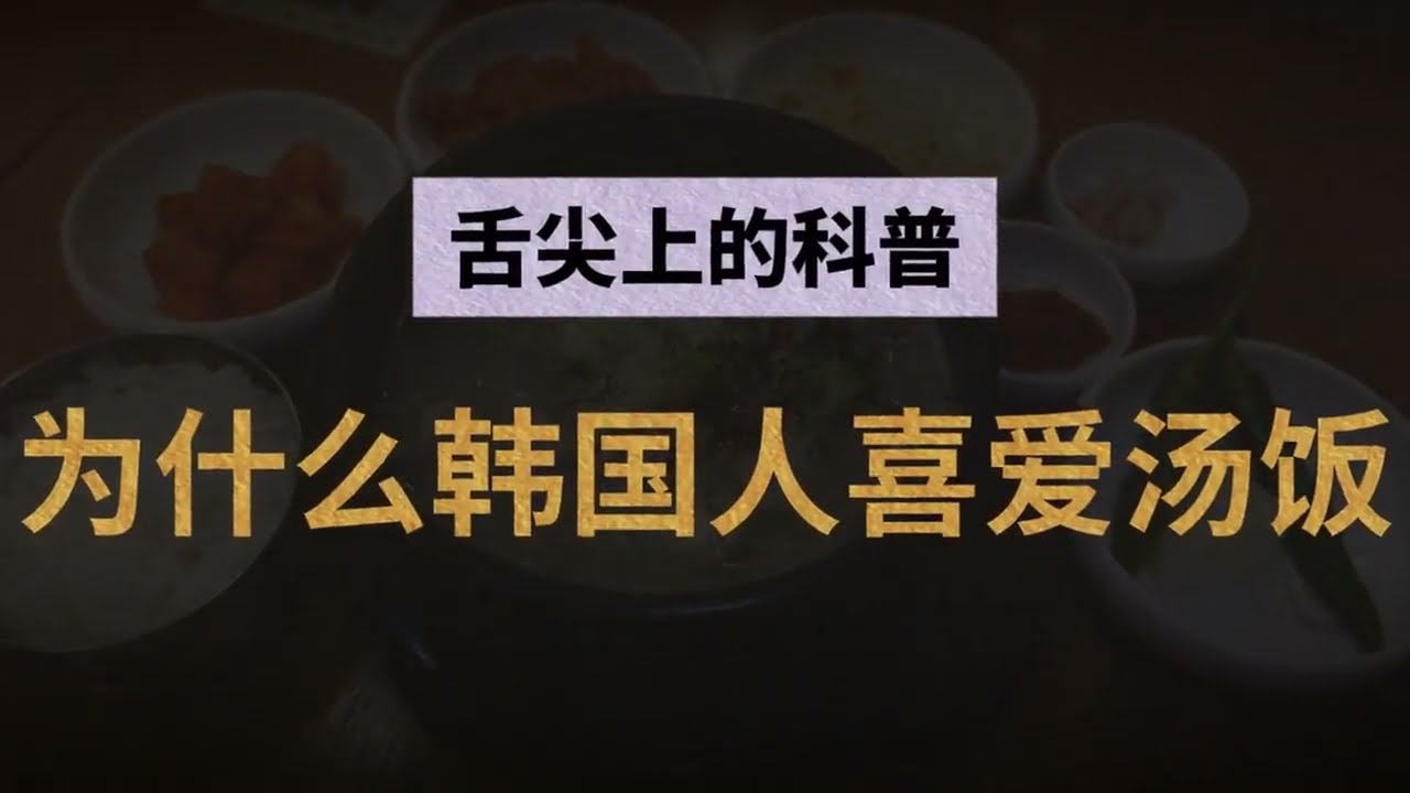 舌尖上科普丨韩国汤饭到底有多美味，韩国人为何这般钟情汤饭？#韩国  #food #故事分享 #美食 #料理 #tea #熱門 #eat #科普 #科普一下