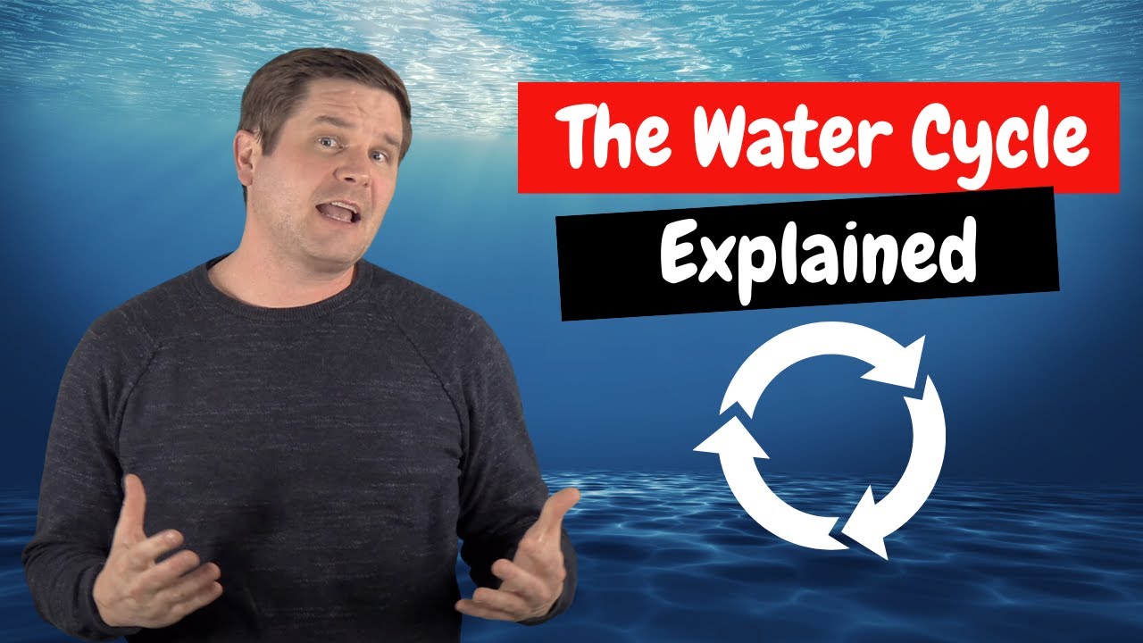How does the water cycle work?