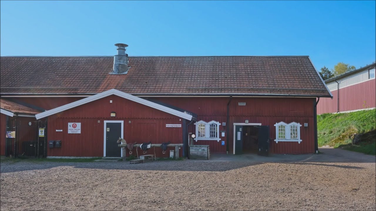 Carol Reed: The Final Chapter (Part 2): Randwick Stables
