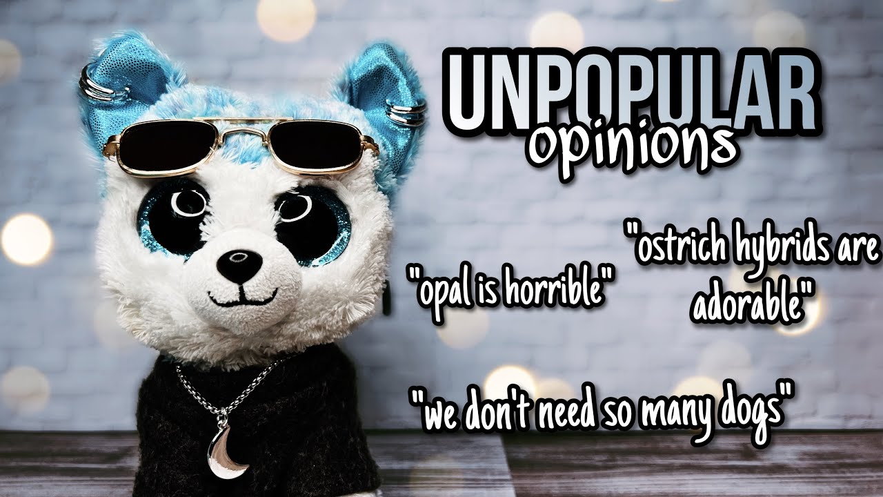 Читаю непопулярные мнения о Beanie Boos *немного спорно?*