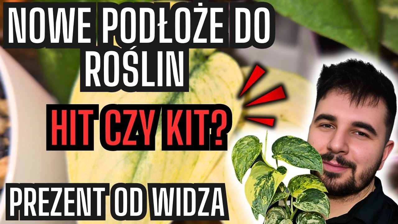 ROŚLINNY EKSPERYMENT 🌿 Test nowego podłoża / Roślinne aktualizacje