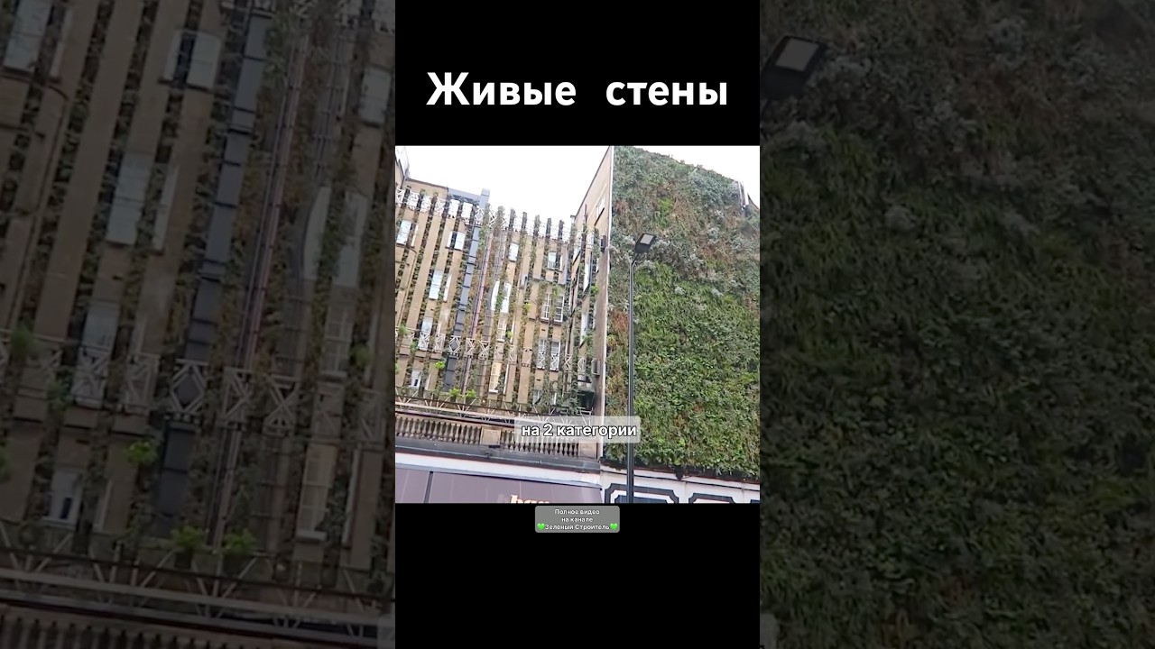Типы Живых стен 