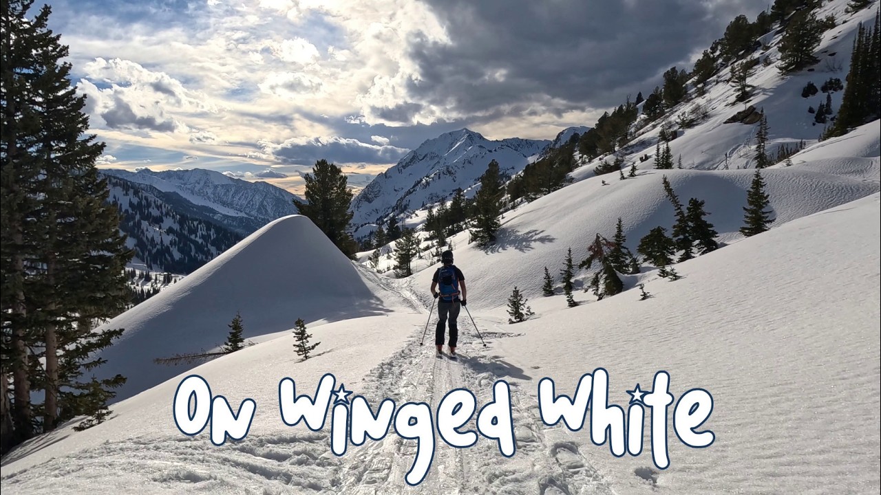 On Winged White - Skiing Little Cottonwood Canyon | Fast Lines & Big Mountain Views | Greg and Grant