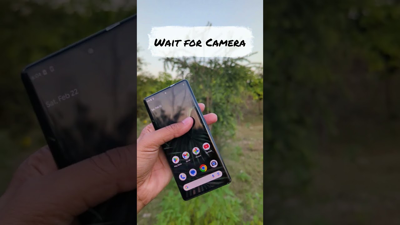 Google Pixel 6 Pro Camera Results 📷 