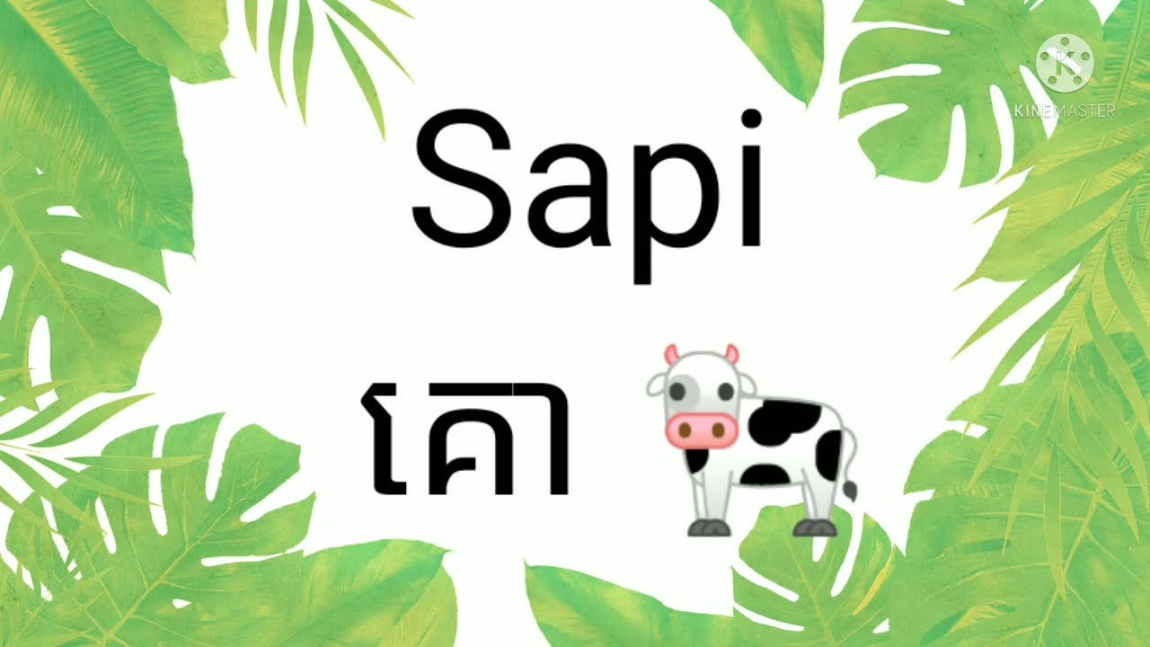 ភាសាឥណ្ឌូនេស៊ី បកប្រែ ខ្មែរ| belajar bahasa Indonesia Khmer