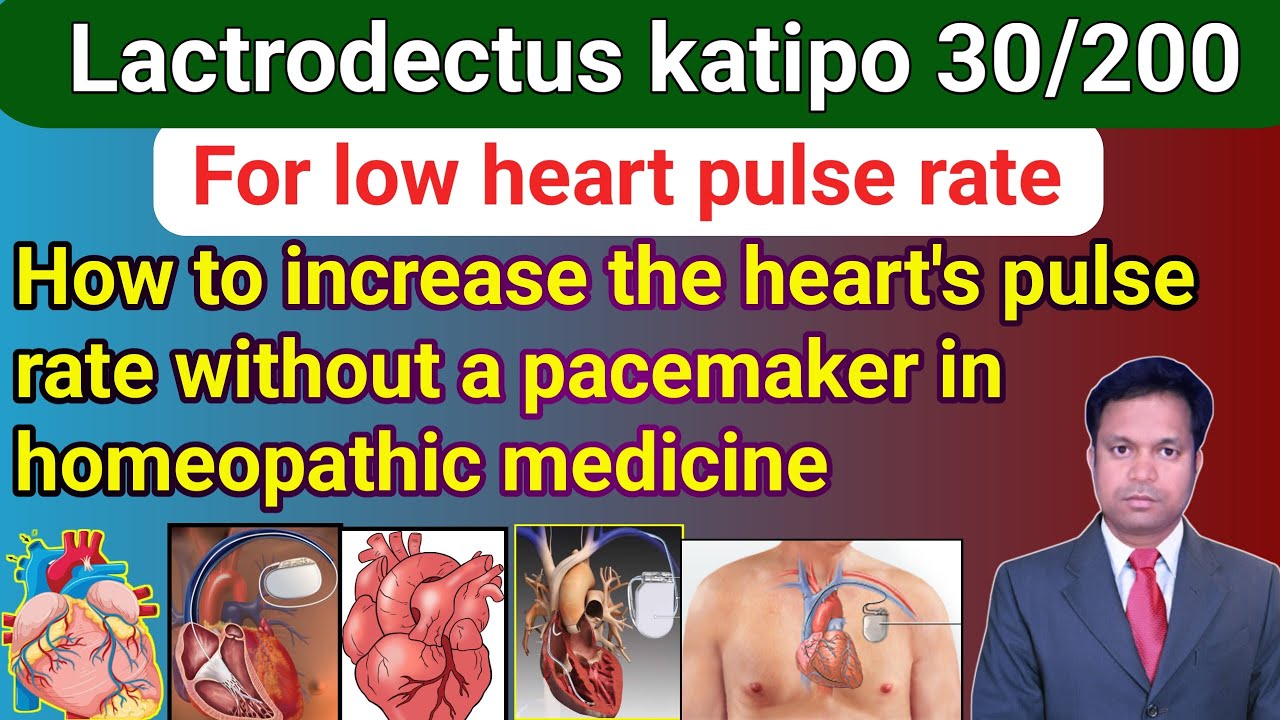 Lactrodectus katipo uses in low pulse rate/How to increase the heart's pulse rate without pacemaker