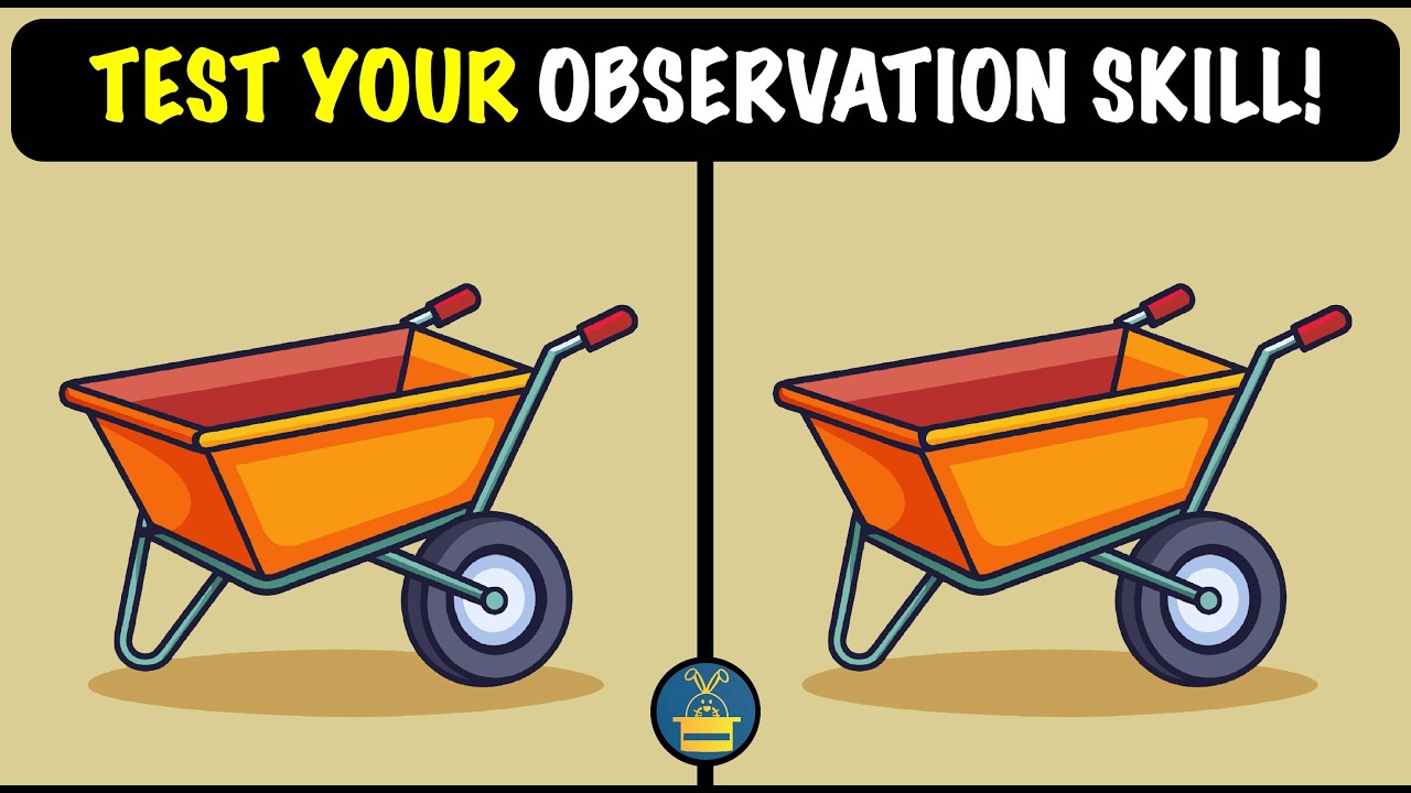 Spot the Difference Puzzles ! (HARD) | TEST YOUR OBSERVATION SKILL!